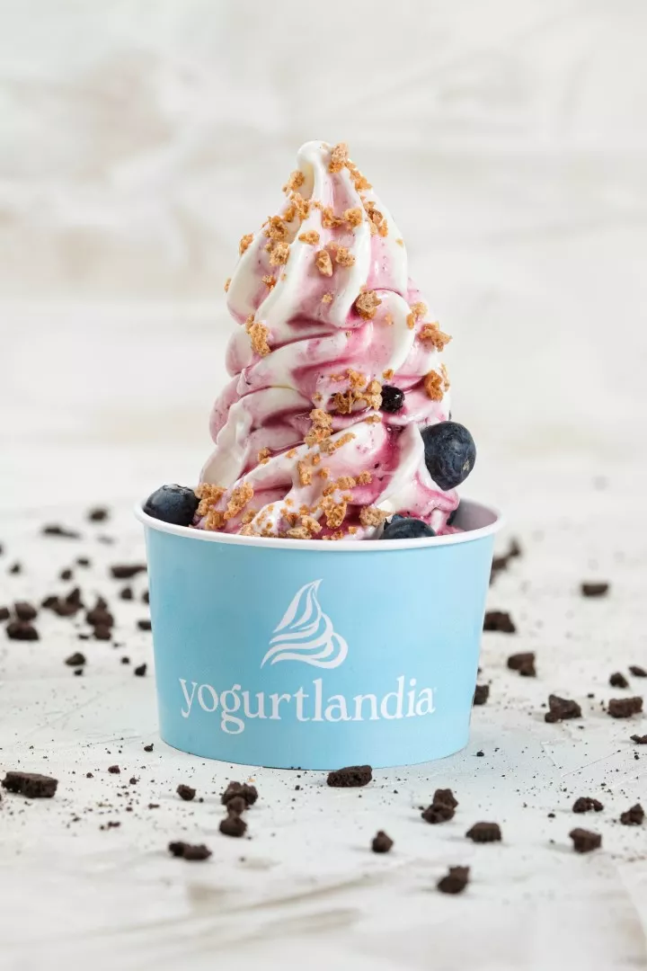 Yogurtlandia Brežice