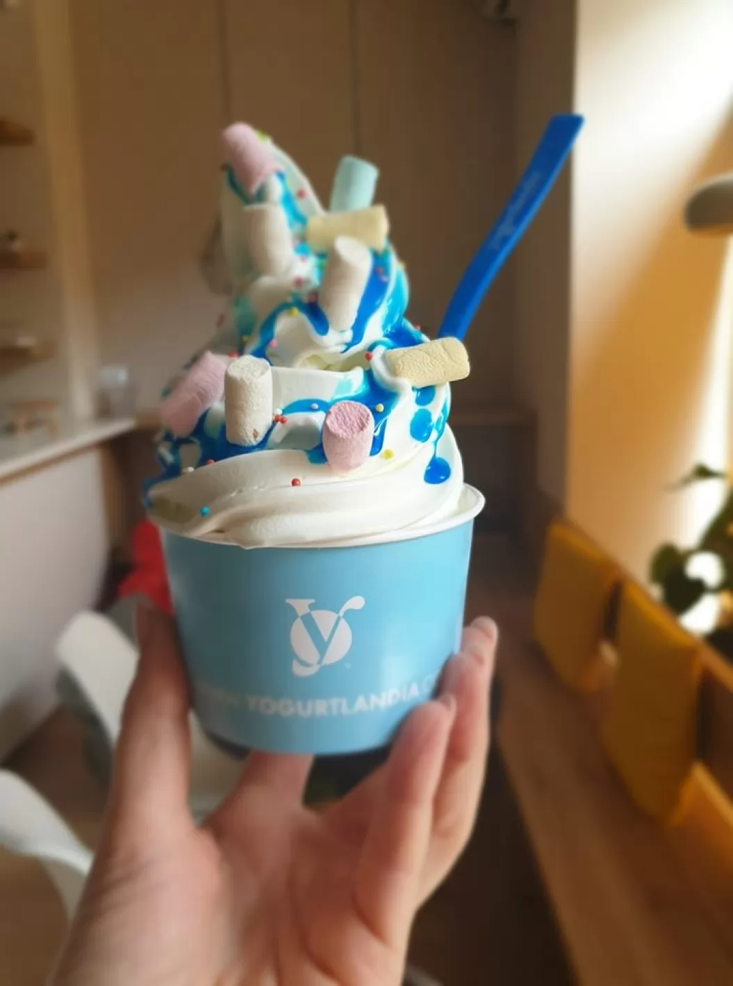 Yogurtlandia Brežice