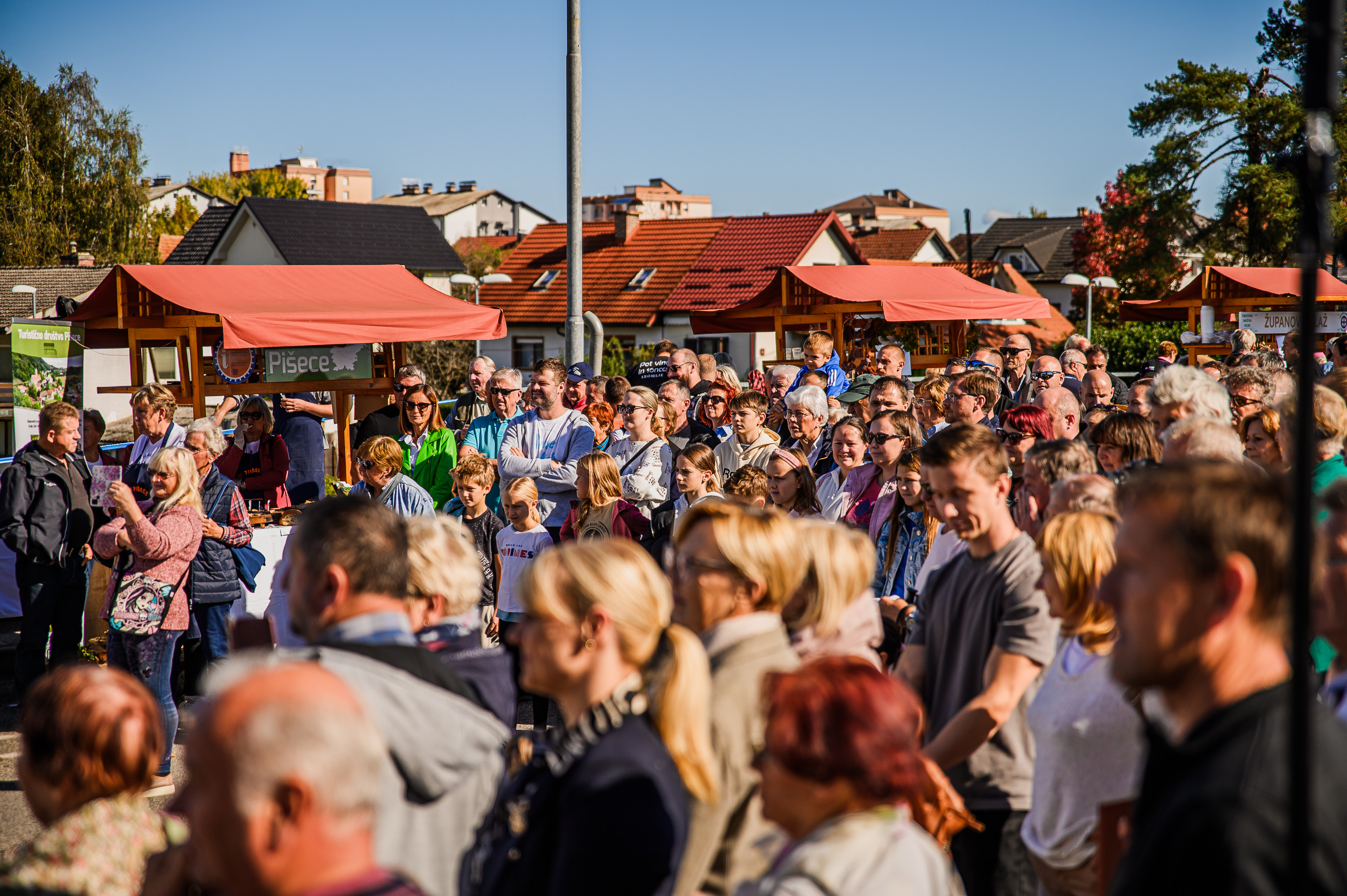 Županov golaž 24-39