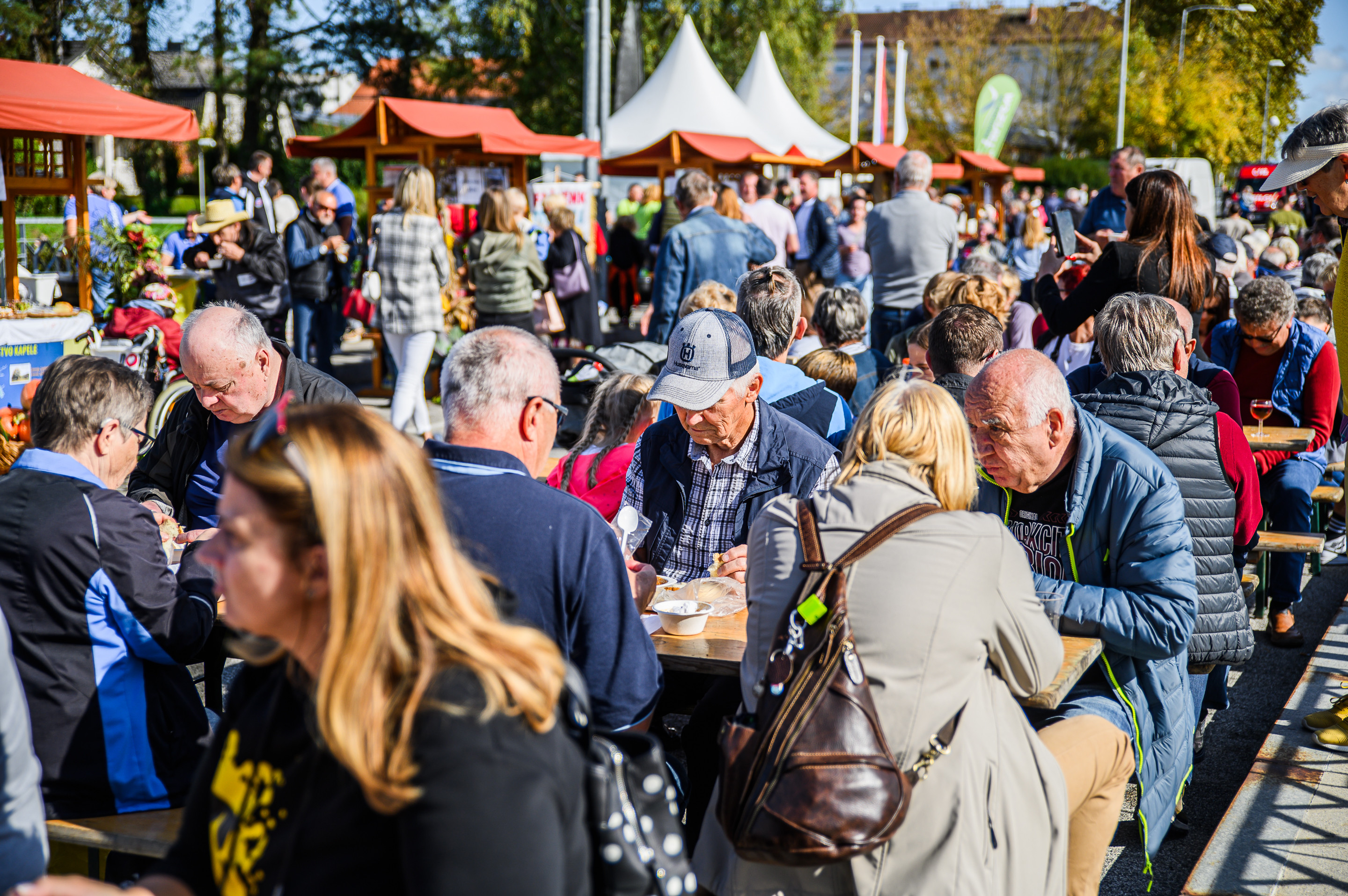 Županov golaž 24-60