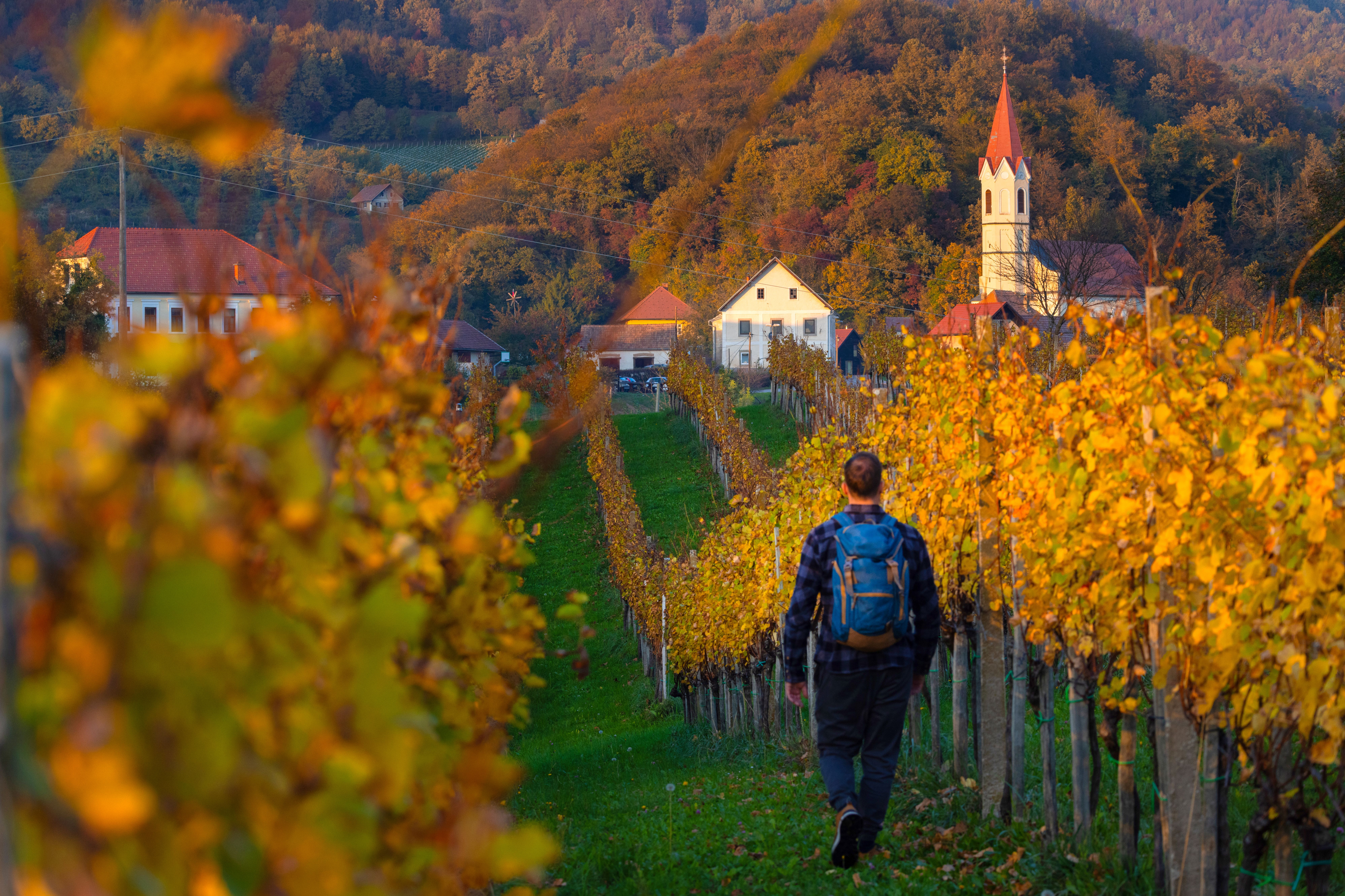 Župnijska cerkev sv. Martina, Sromlje