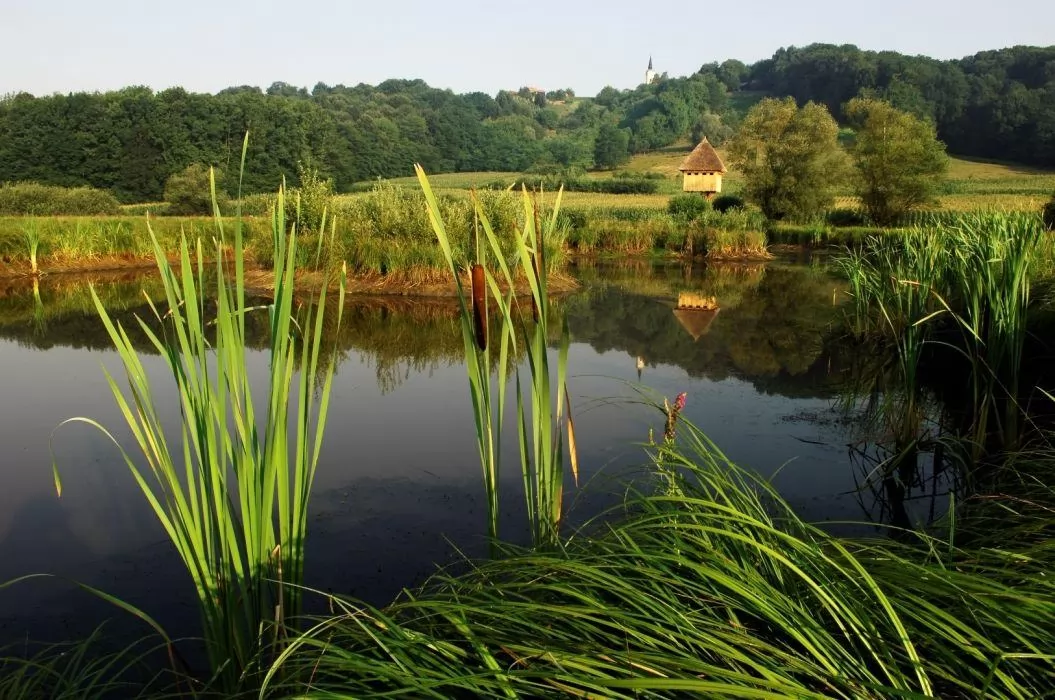 Corncrake Trail to the Jovsi Floodplain
