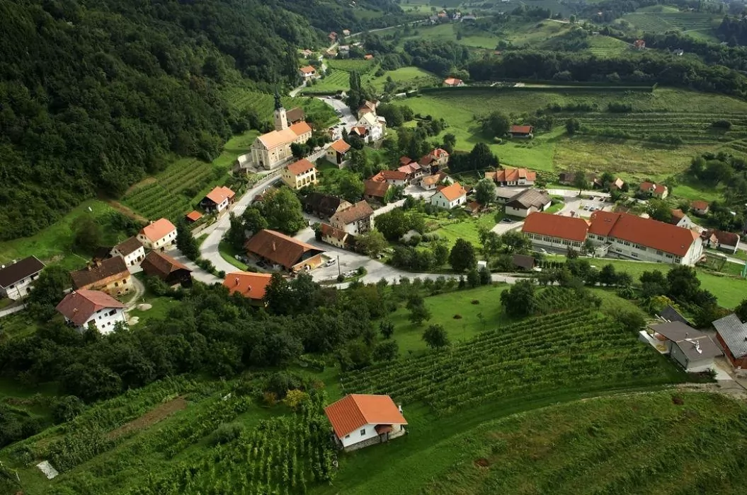 Gozdna učna pot Pišece