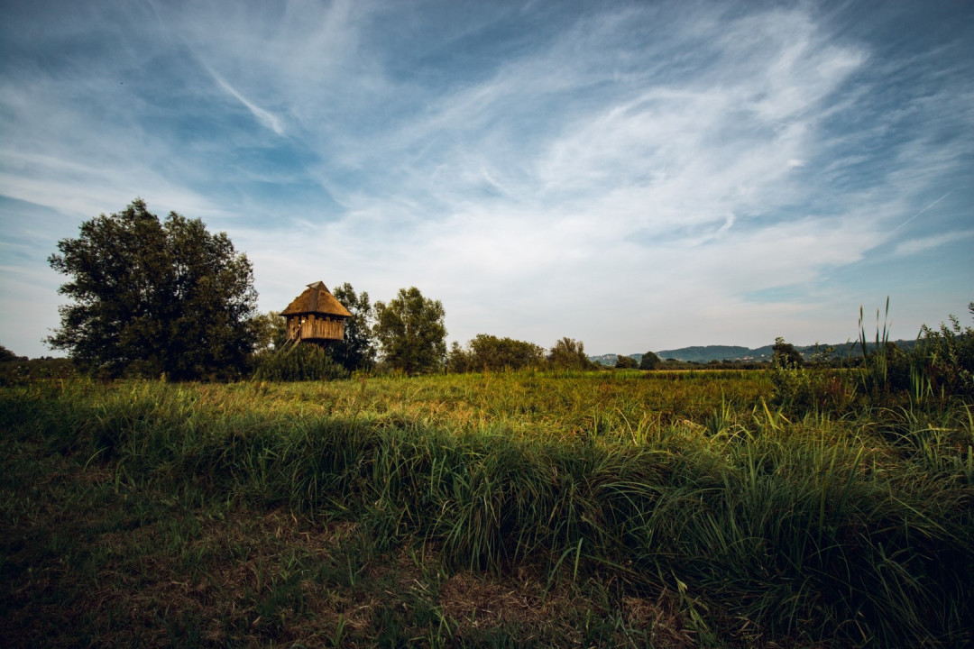 Koščeva pot v Jovse