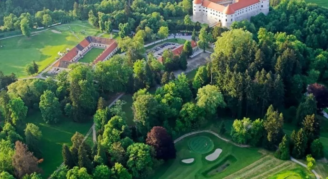 Prisluhnimo šumenju mokriških gozdov