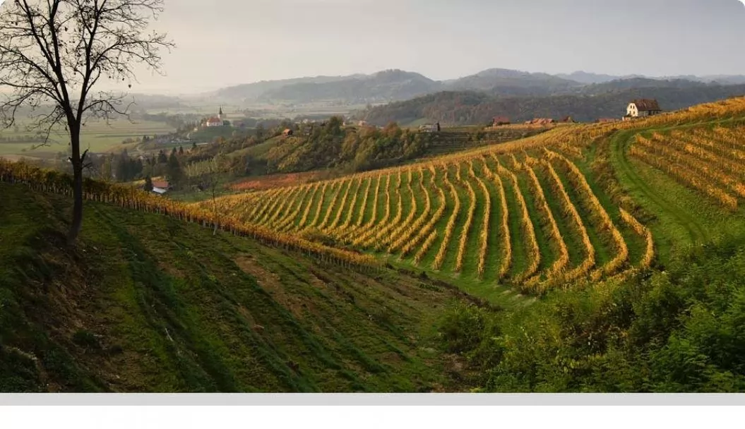 Skrivnosti rjavorumenega peska