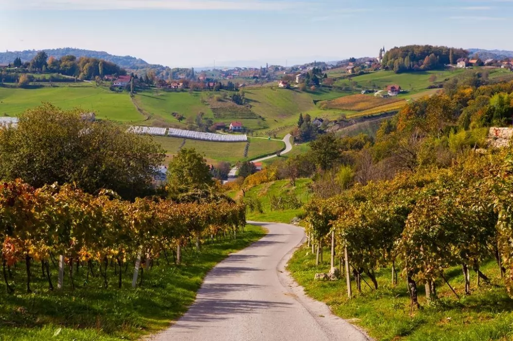 Sromeljska pot vina in sonca